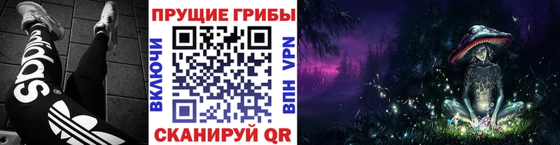 Псилоцибиновые грибы мухоморы  где продают   Тырныауз 